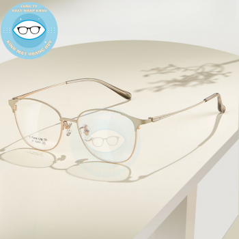 Gọng kim loại mã 6293